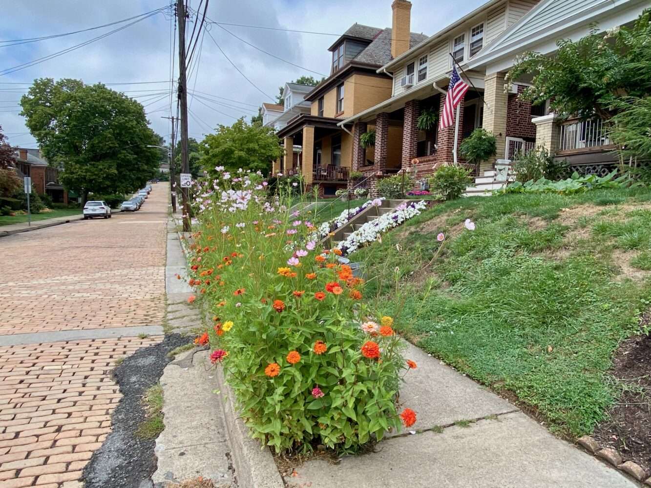 Colors Along Pinehurst Avenue Brighten the Grays of Everyday life